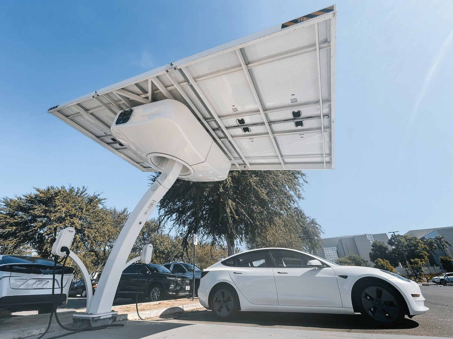 How New Energy Vehicles Can Facilitate the Transition to Sustainable Energy